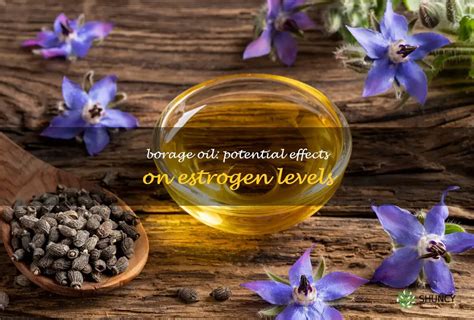 Borage Oil: Unleashing its Potential for Pharmaceutical Applications and Sustainable Food Production!