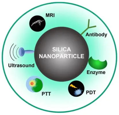 Silica Nanospheres: Applications in Catalysis and Drug Delivery?