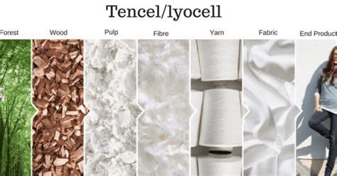  TENCEL™ - Vật liệu sợi tự nhiên cho ngành dệt may và thời trang bền vững!