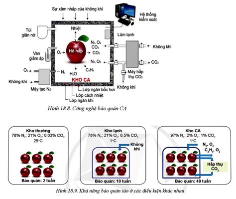  Yttrium: Vật Liệu Thú Vị Cho Công Nghệ Cao Và Sản Xuất Pin Sức Mạnh Lớn!